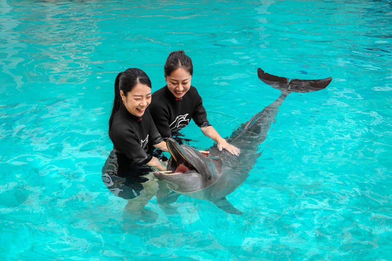 Resorts World Sentosa - Hotel Сінгапур Екстер'єр фото Dolphin show at SeaWorld